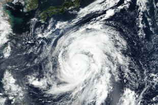  В Японии 45 тысяч домов остались без света из-за тайфуна "Хагибис" 