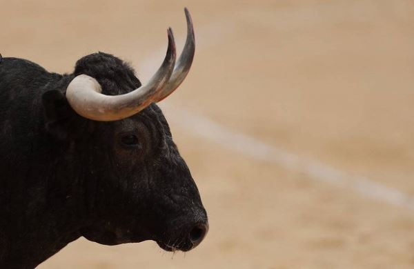 <br />
Пять быков найдены загадочно обескровленными в США<br />
